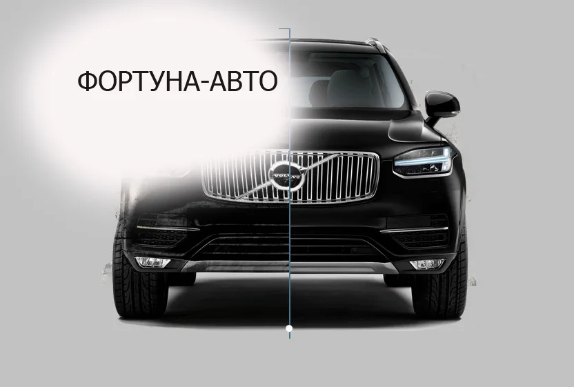 Фортуна-авто — материалы кейса
